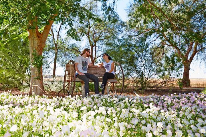 Hotel Exterior 24 of 26