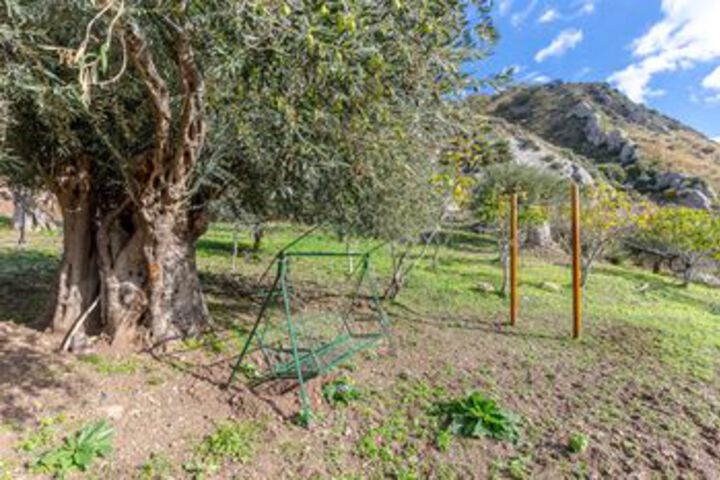 Property Grounds 23 of 28