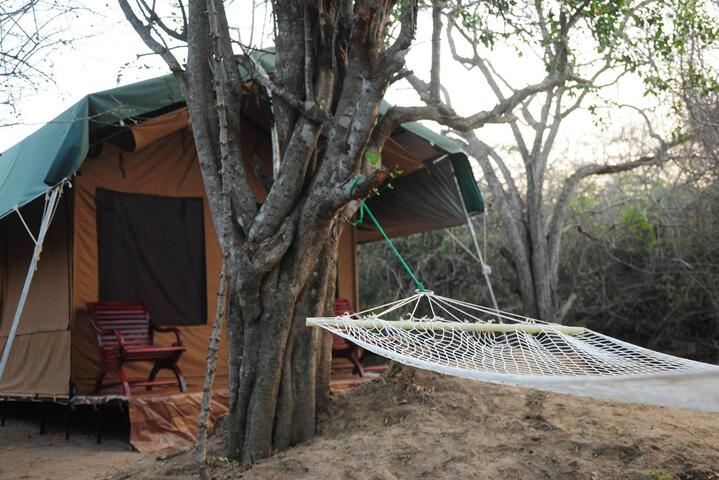 Yala Bear Safari Camp Tents