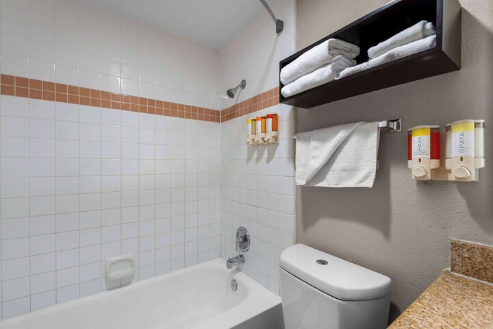 1 King Bed Accessible (8 of 12)