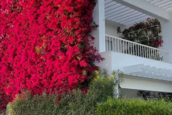 Hotel Exterior 123 of 126