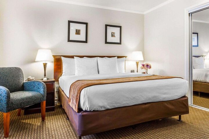 1 King Bed (1 of 14)