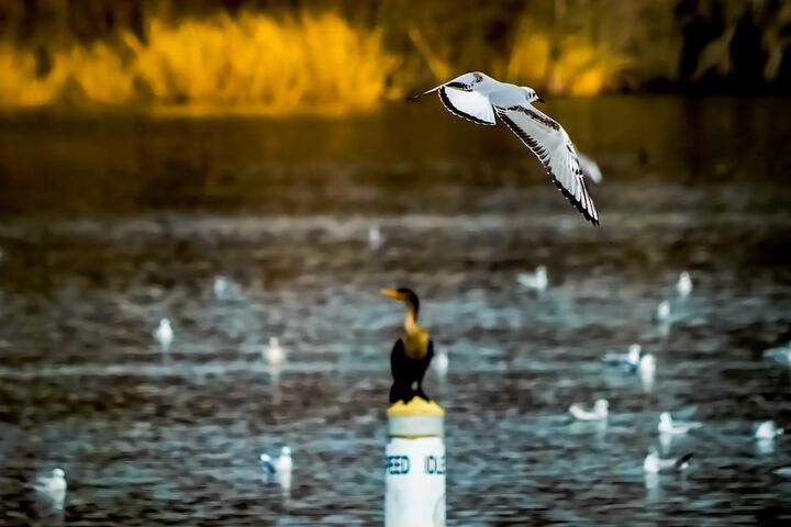 Hotel View 118 of 124