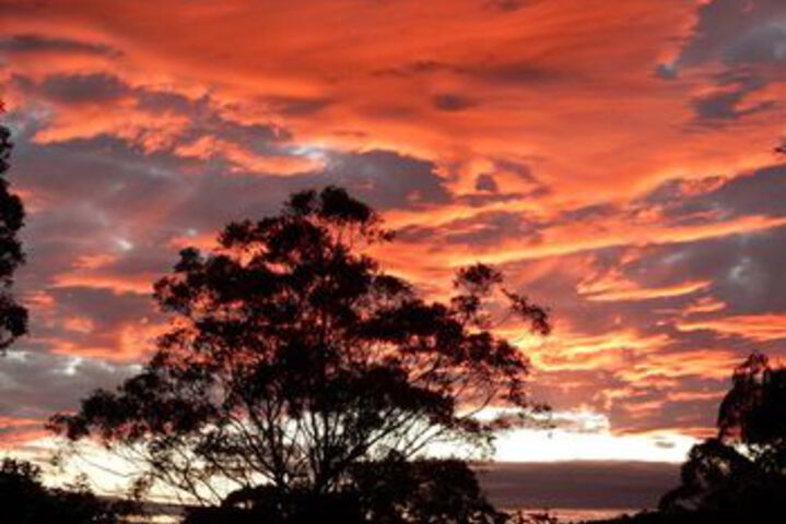 Property Grounds 48 of 63