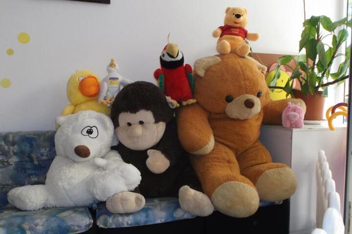 Photo 23