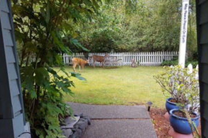 Property Grounds 103 of 126