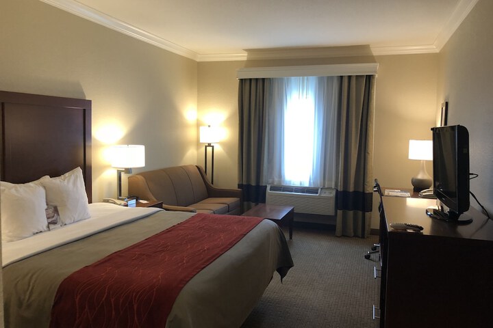 1 King Bed (3 of 16)