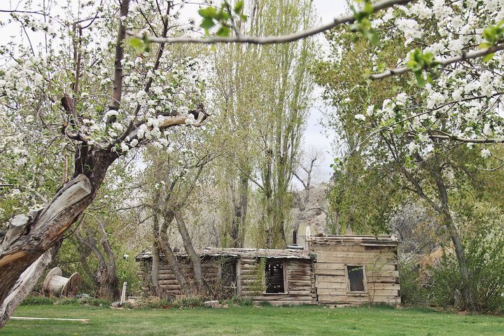 Property Grounds 34 of 41