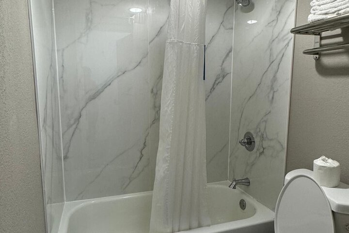 Deluxe Room 1 King Bed Accessible Bathtub (7 of 10)