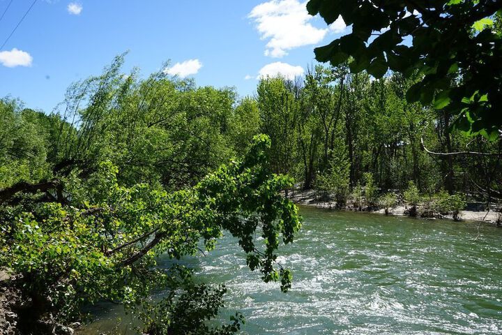 Property Grounds 22 of 28
