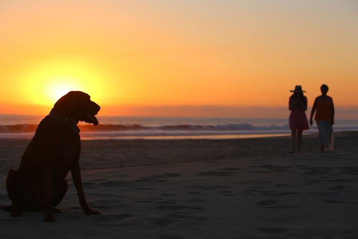 Beach 46 of 53