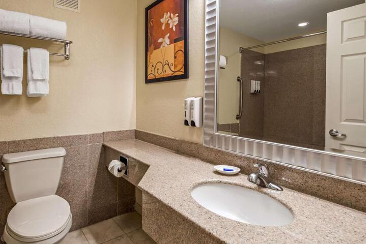 1 King Bed Deluxe Studio Suite (3 of 5)
