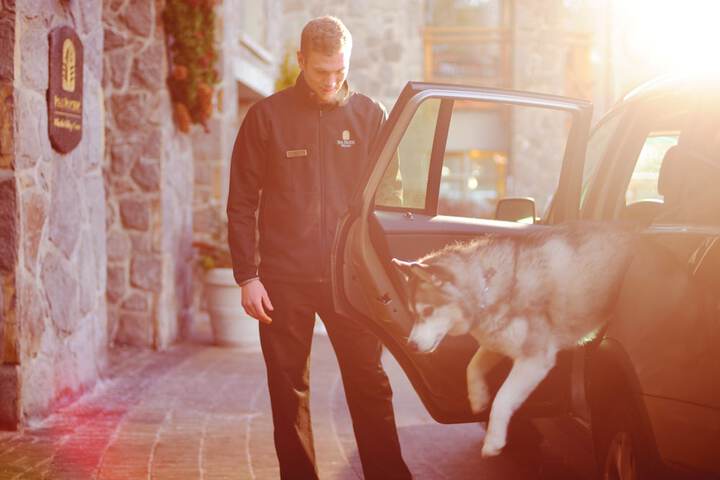 Pet-friendly
