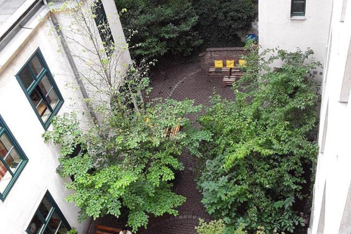 Photo 19