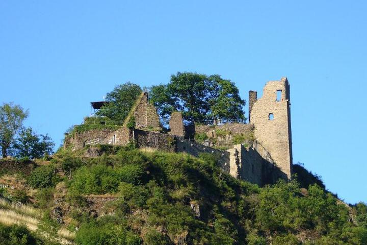 Photo 19