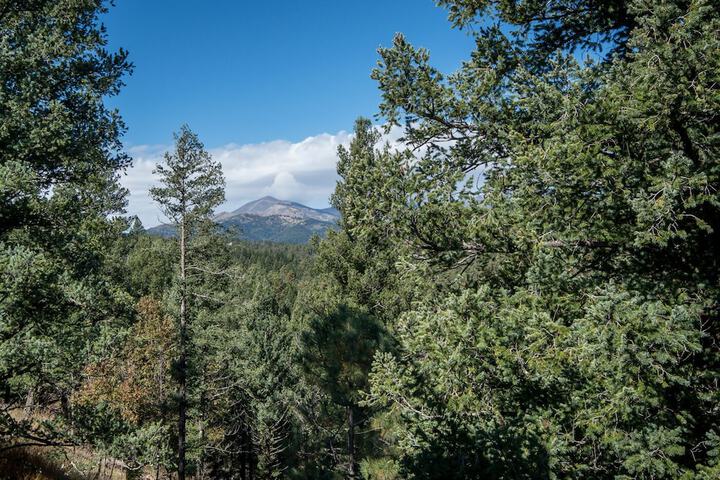 ADOBE HACIENDA in Ruidoso, NM