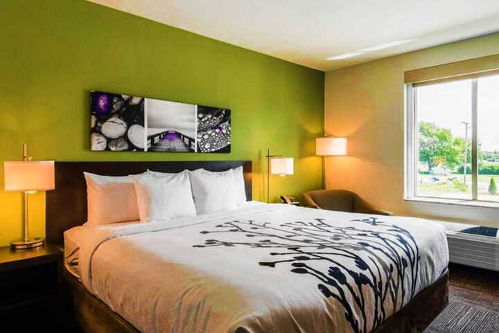 1 King Bed (17 of 20)