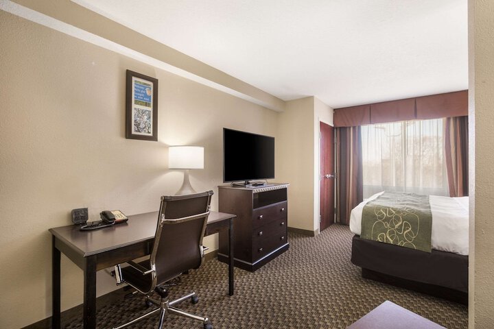 Suite 1 King Bed (5 of 19)