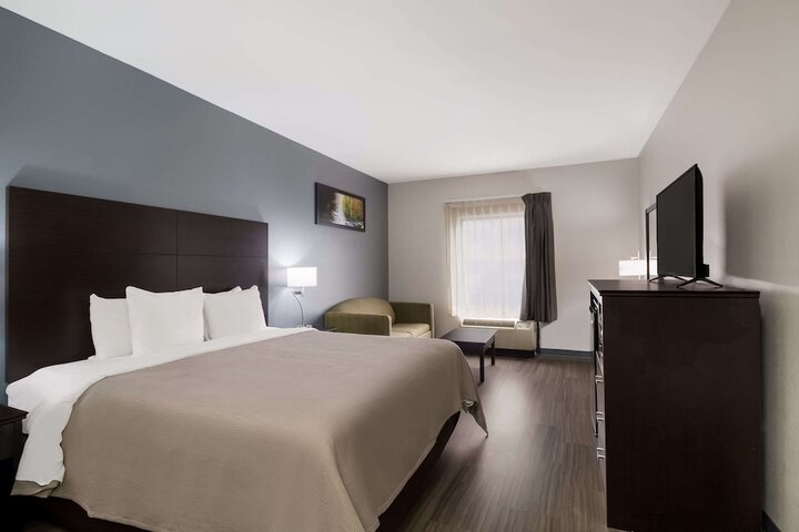 1 King Bed (16 of 19)