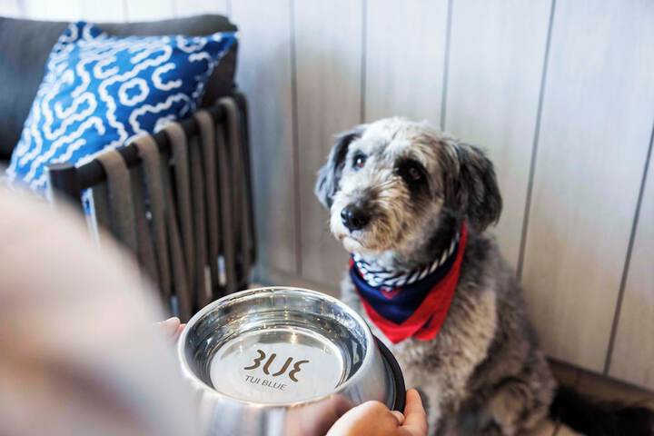 Pet Friendly 54 of 106