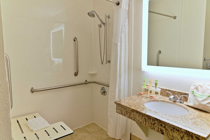 1 King Bed Accessible (4 of 12)