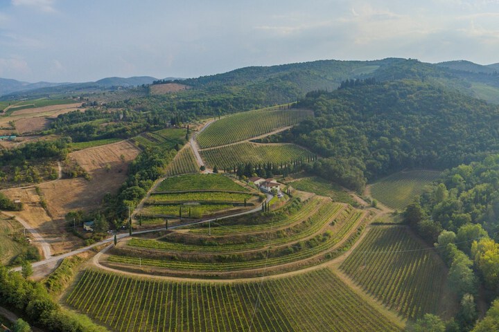 Foresteria Castello di Verrazzano in Greve in Chianti