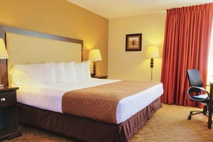 1 King Bed (5 of 11)