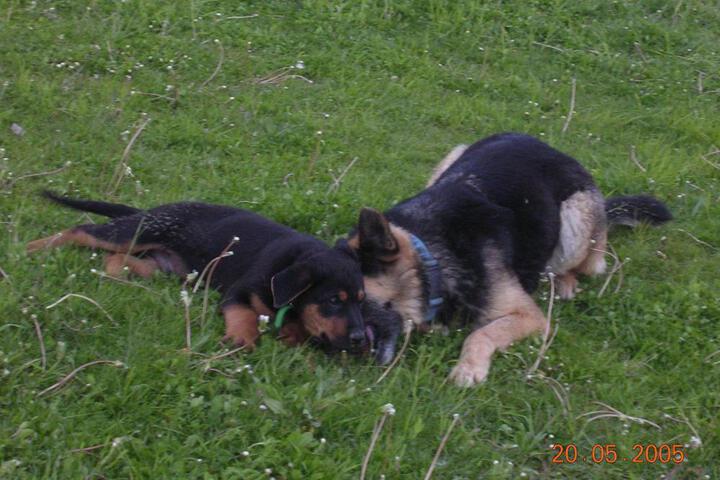 Photo 21