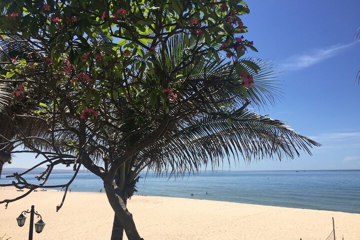 Beach 206 of 252