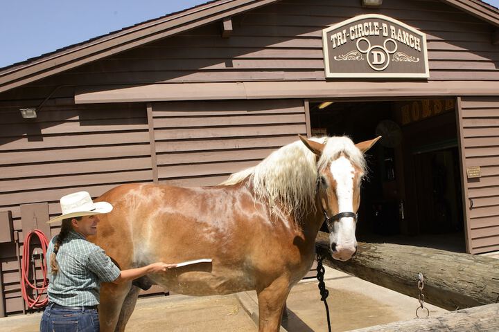 Water Sports 23 of 33