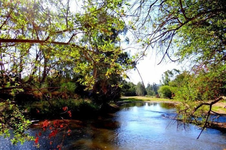 Property Grounds 31 of 38