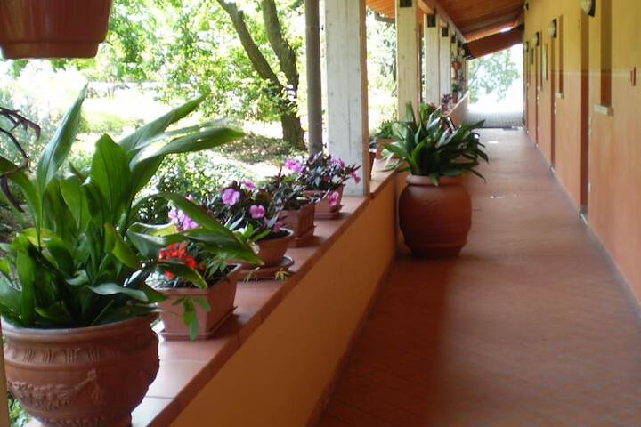Hotel 2 of 49