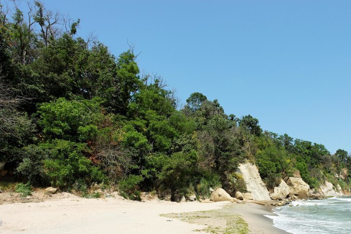 Beach 33 of 49