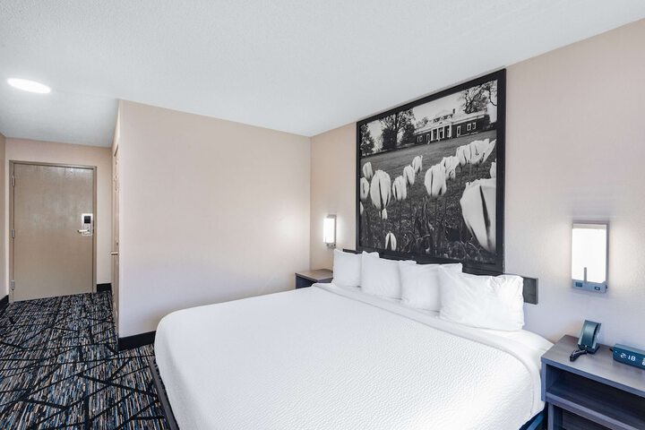 1 King Bed (11 of 12)