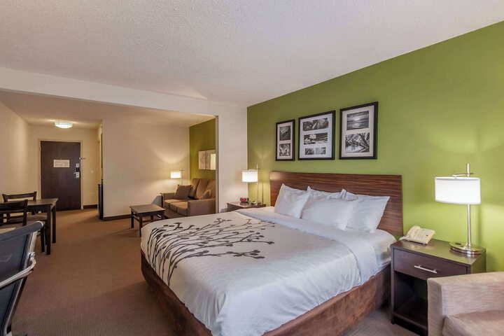 1 King Bed (8 of 9)