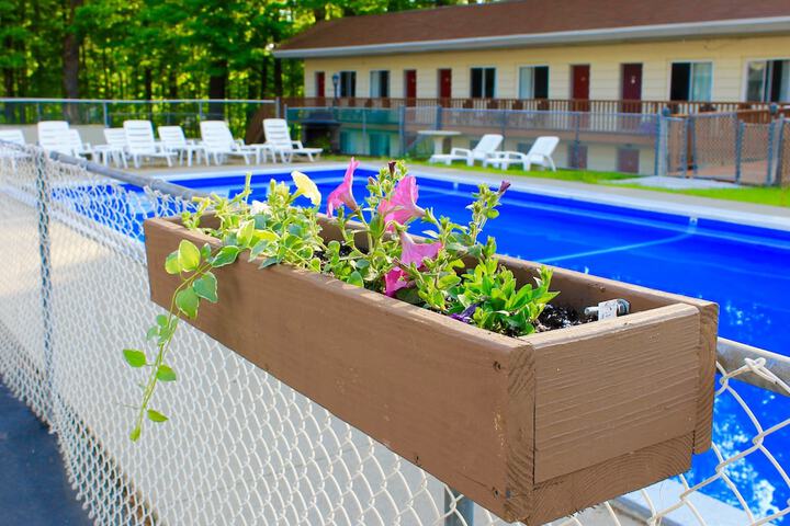 Photo of The Motel Montreal Pool