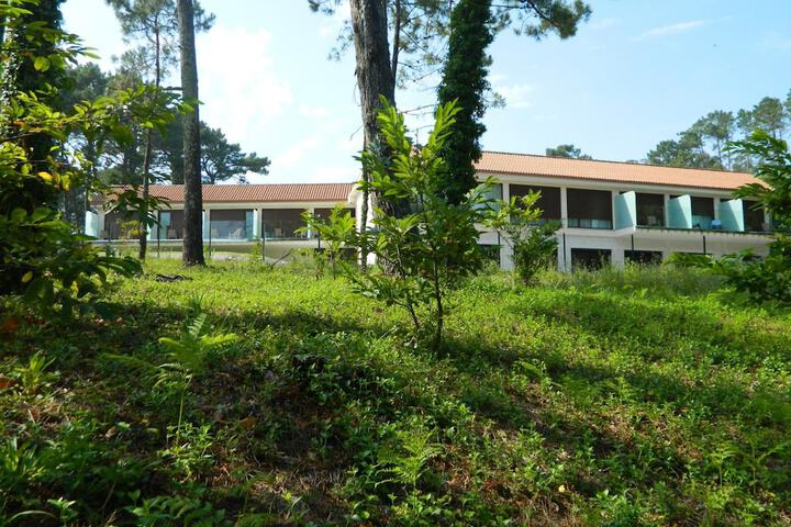 Property Grounds 32 of 45