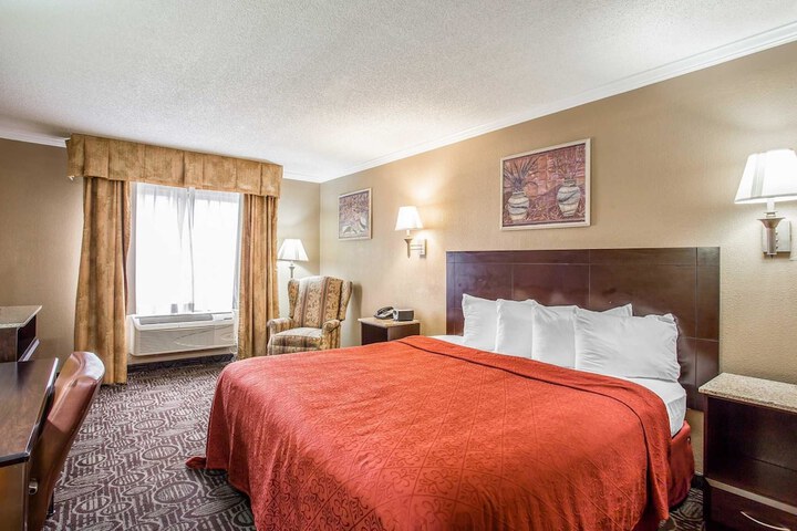 1 King Bed (13 of 13)
