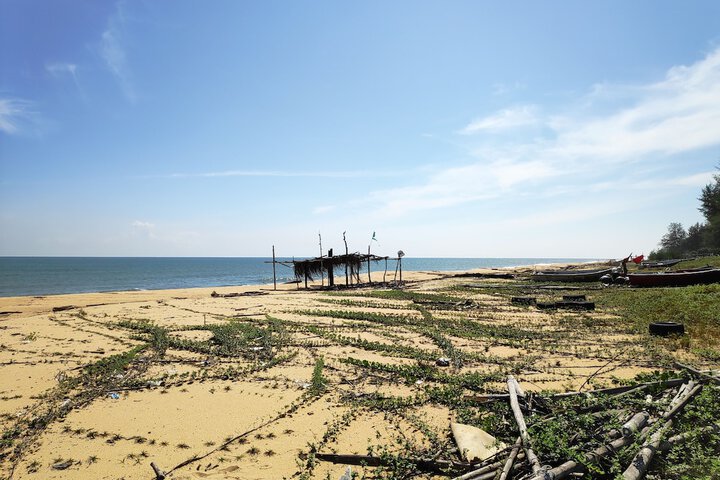 Beach 20 of 35