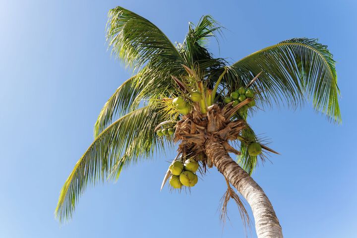 Beach 49 of 71