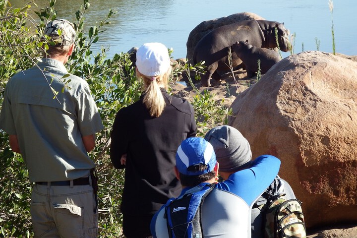 Safari