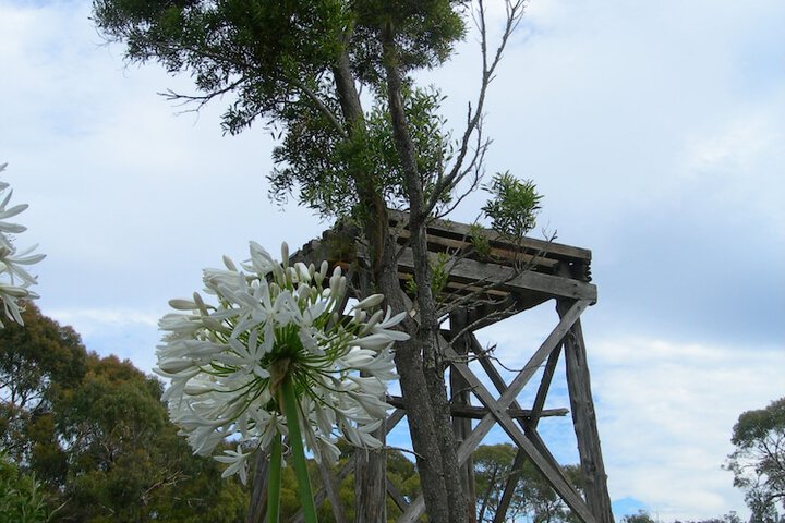 Property Grounds 26 of 38