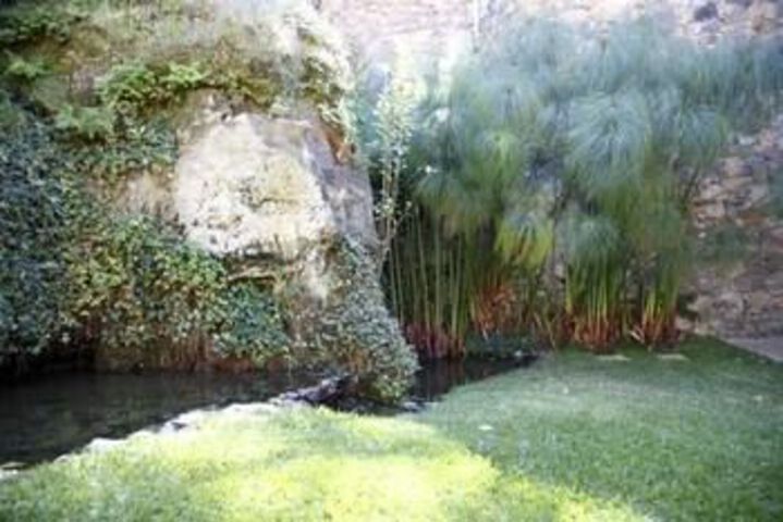 Spa and Wellness Pictures