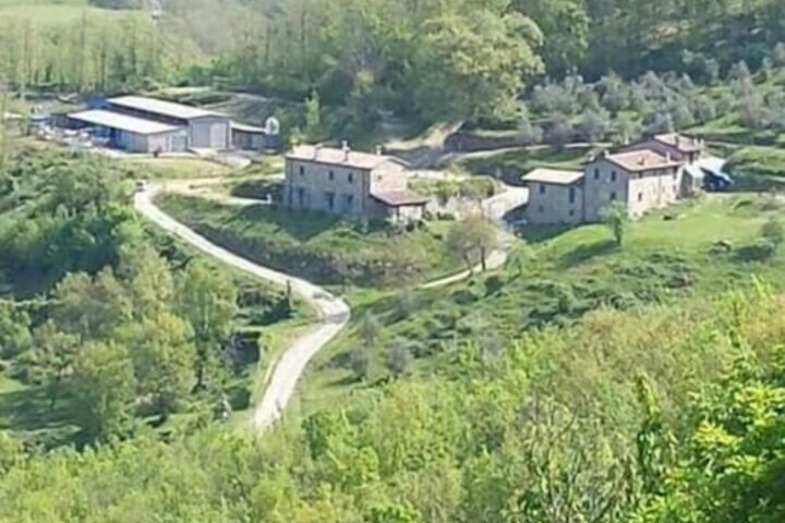 Property Grounds 17 of 29