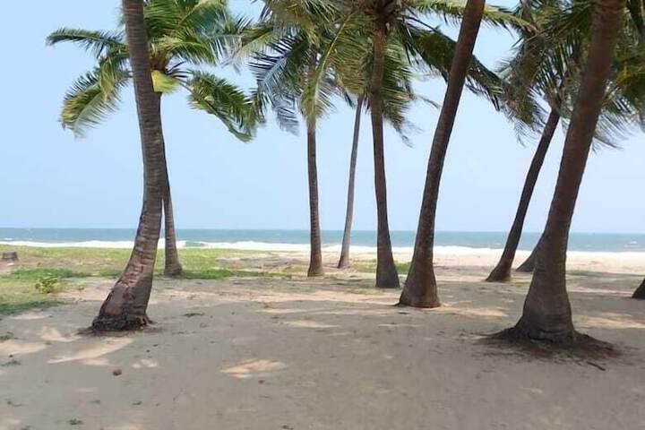 Beach 159 of 195