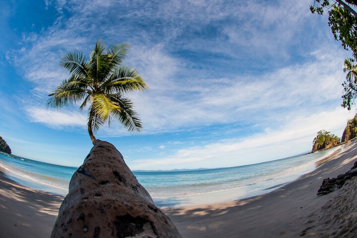 Beach 85 of 100