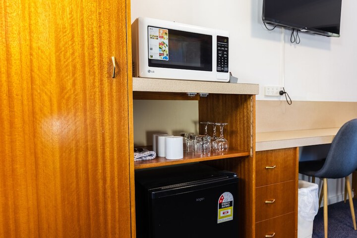 Mini-refrigerator