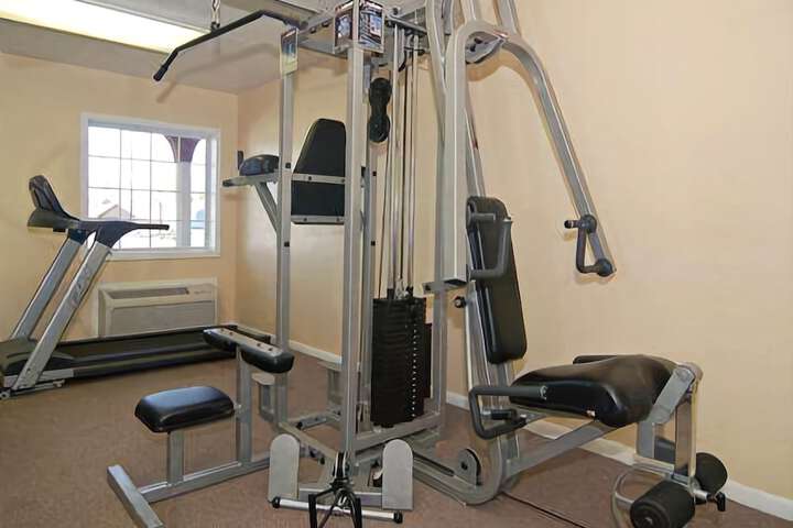 Gym & Fitness