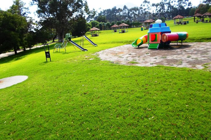 Childrens Activities 29 of 36