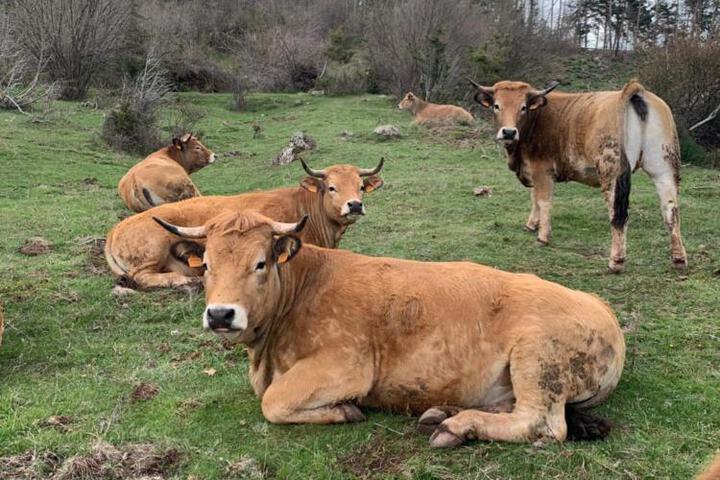 General 50 of 72